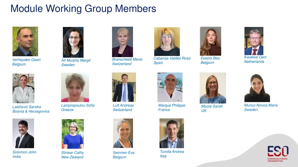 module working group members