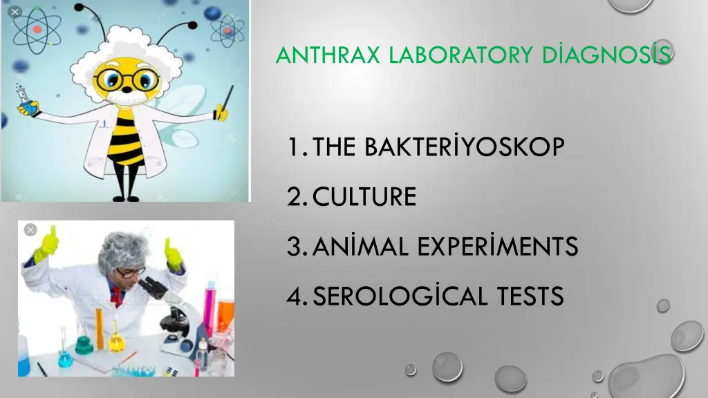 anthrax laboratory d agnos s