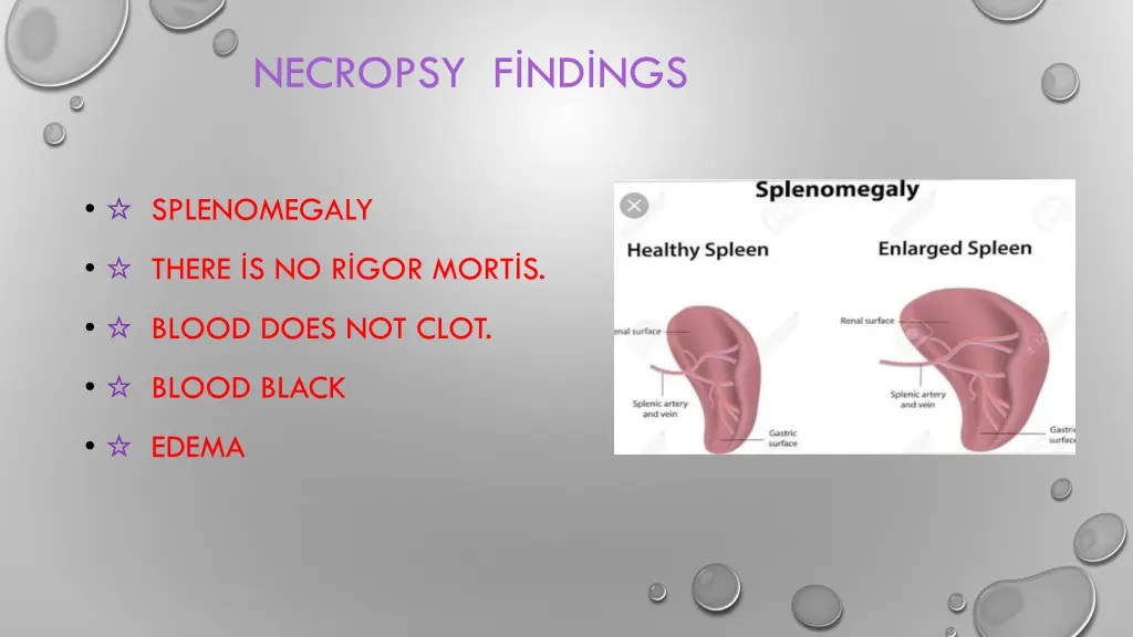necropsy f nd ngs