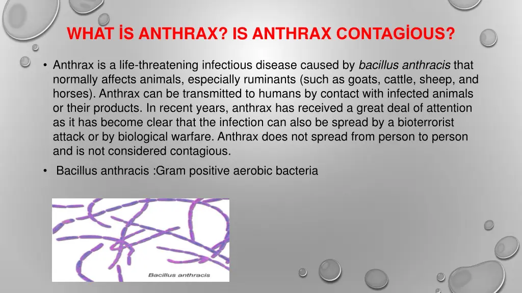 what s anthrax is anthrax contag ous