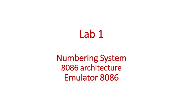 lab 1 lab 1
