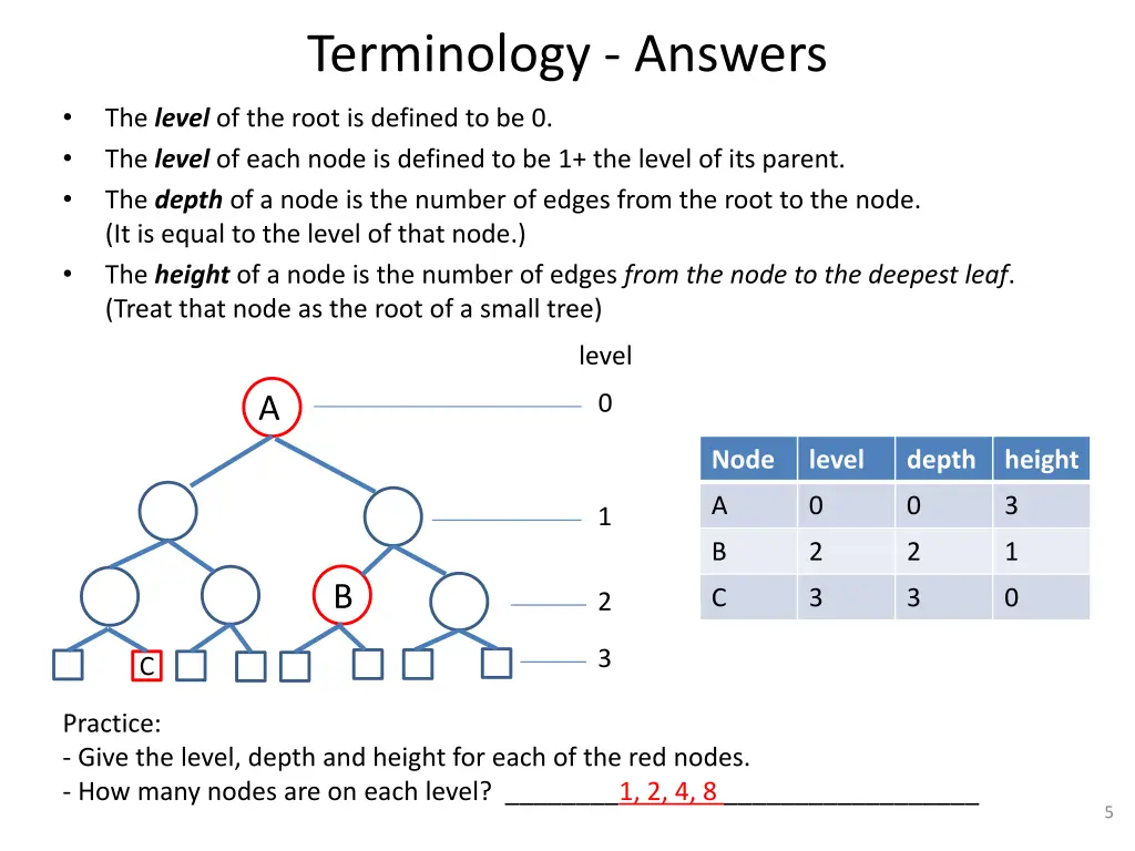 terminology answers