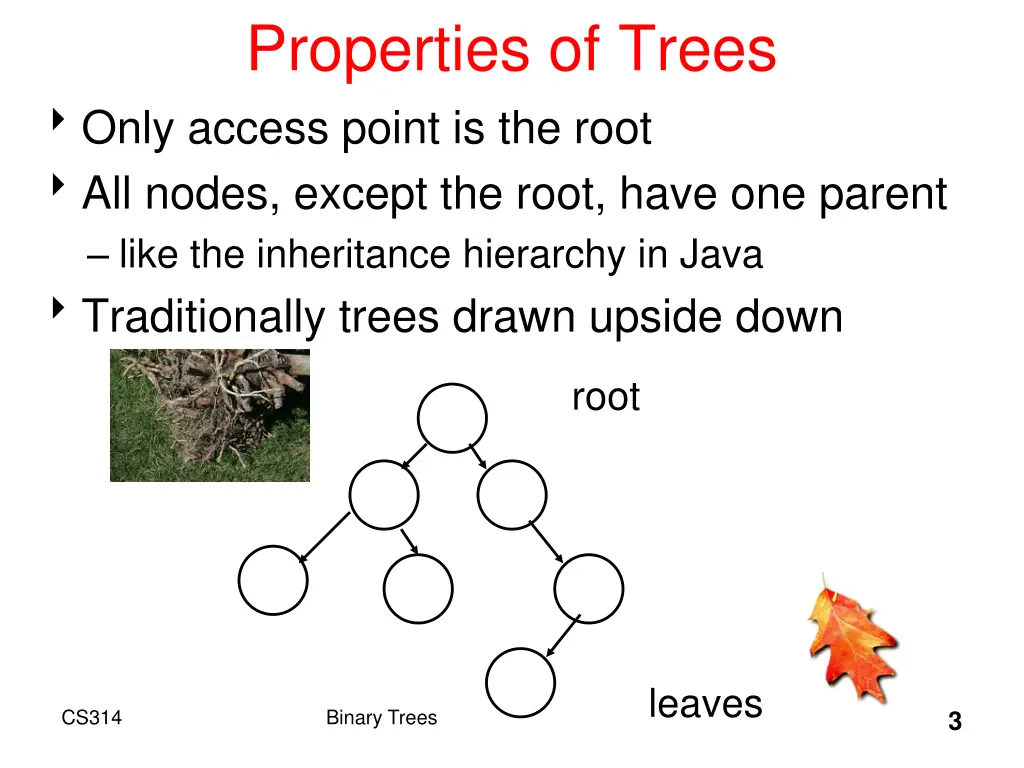 properties of trees only access point is the root