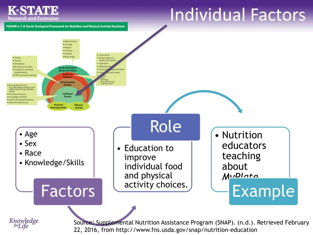 individual factors