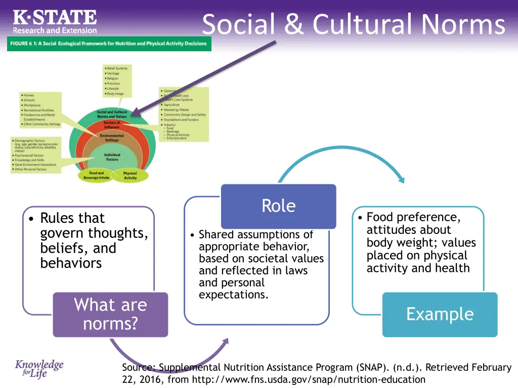 social cultural norms