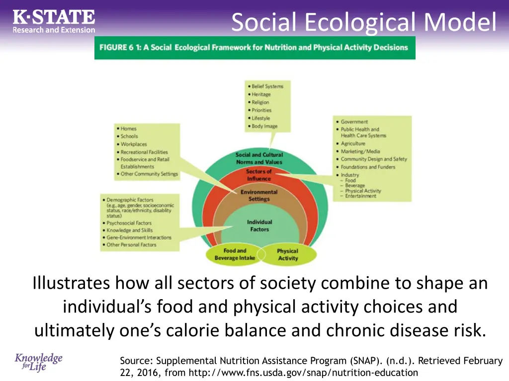 social ecological model