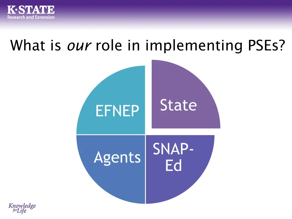 what is our role in implementing pses
