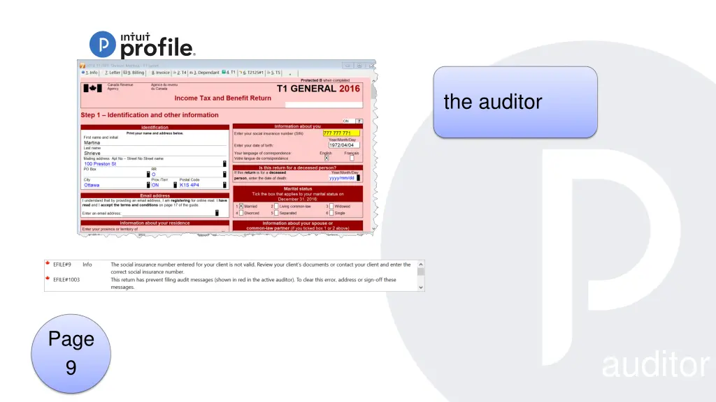 the auditor