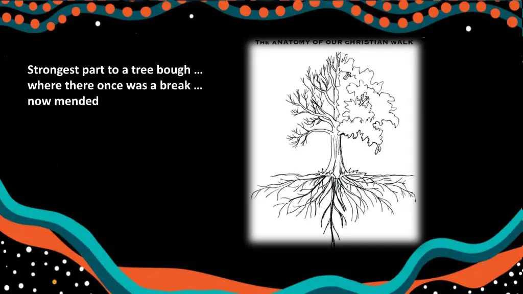 slide7