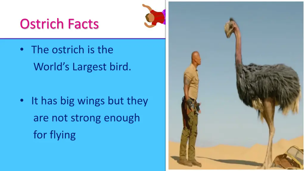 ostrich facts