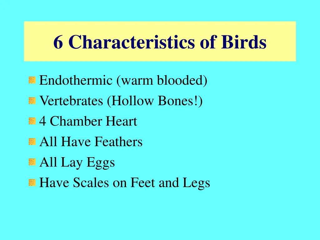 6 characteristics of birds