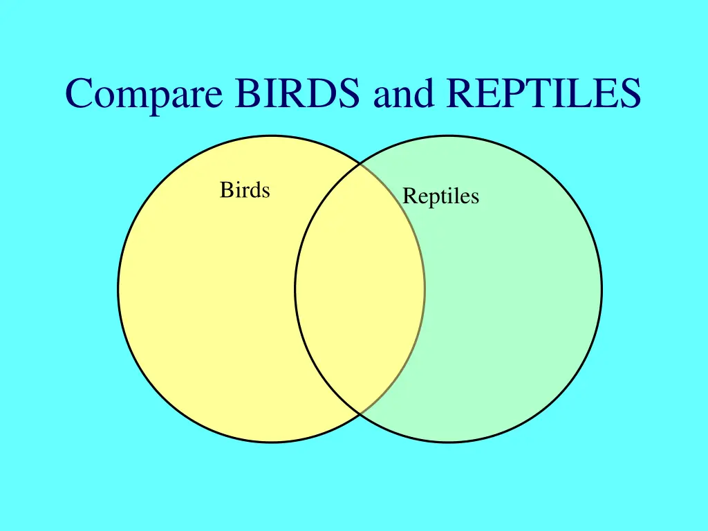 compare birds and reptiles