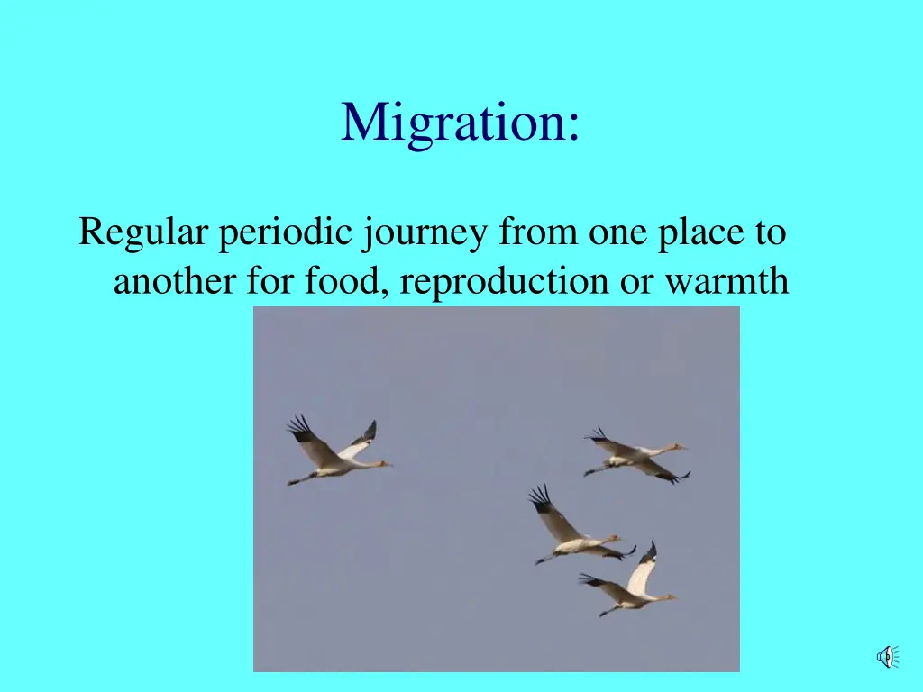 migration