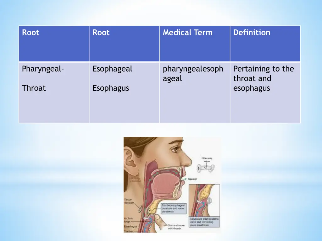 slide38
