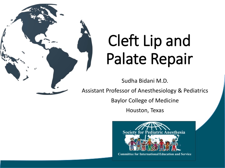 cleft cleft lip palate palate r repair