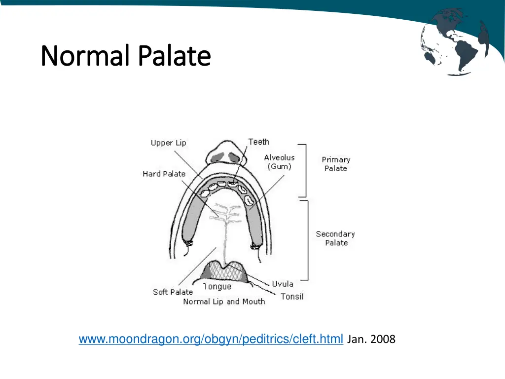 normal normal palate
