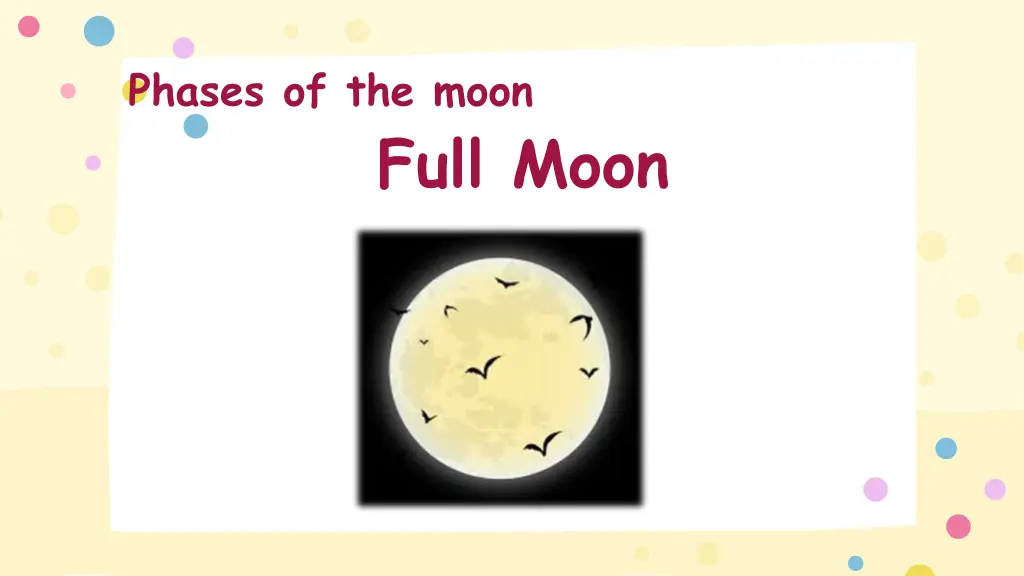 phases of the moon
