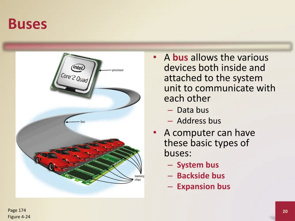 buses
