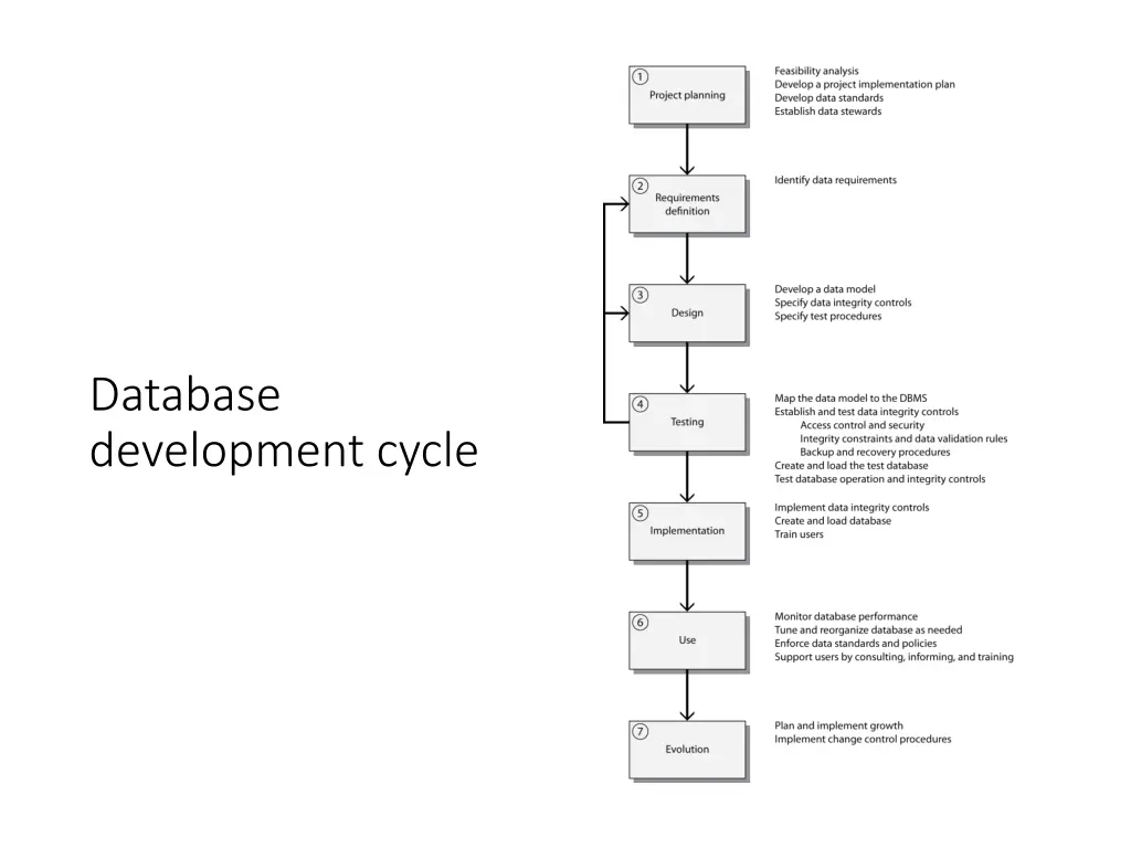database development cycle