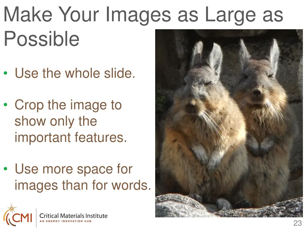 make your images as large as possible 1