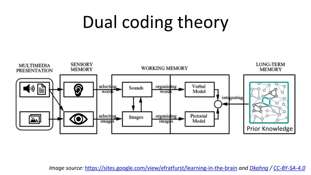 dual coding theory