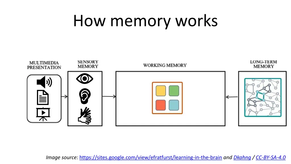 how memory works