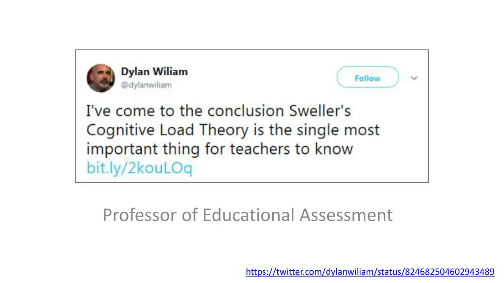 professor of educational assessment