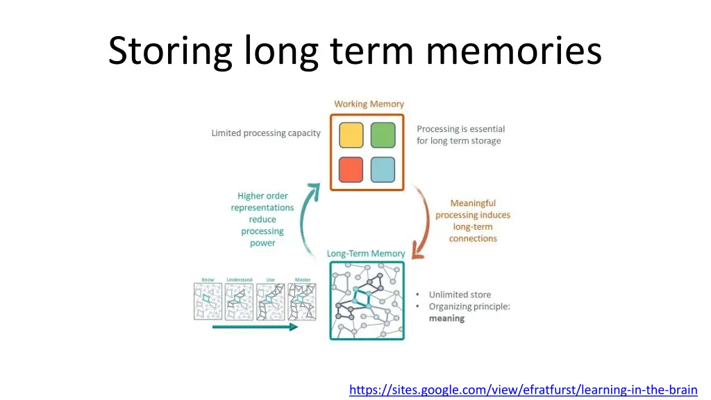 storing long term memories