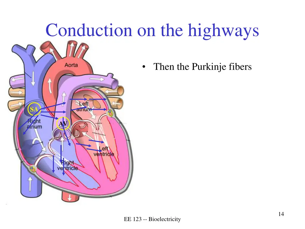 conduction on the highways 1