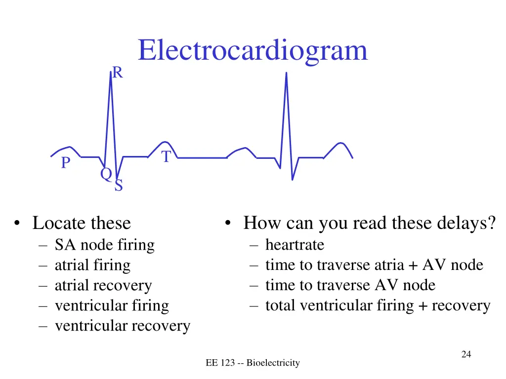 electrocardiogram