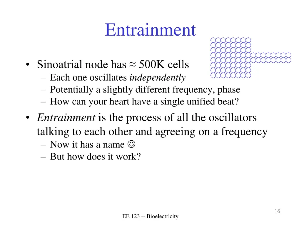 entrainment