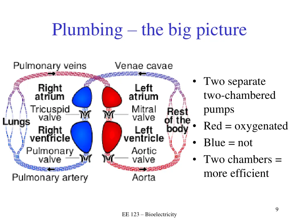 plumbing the big picture