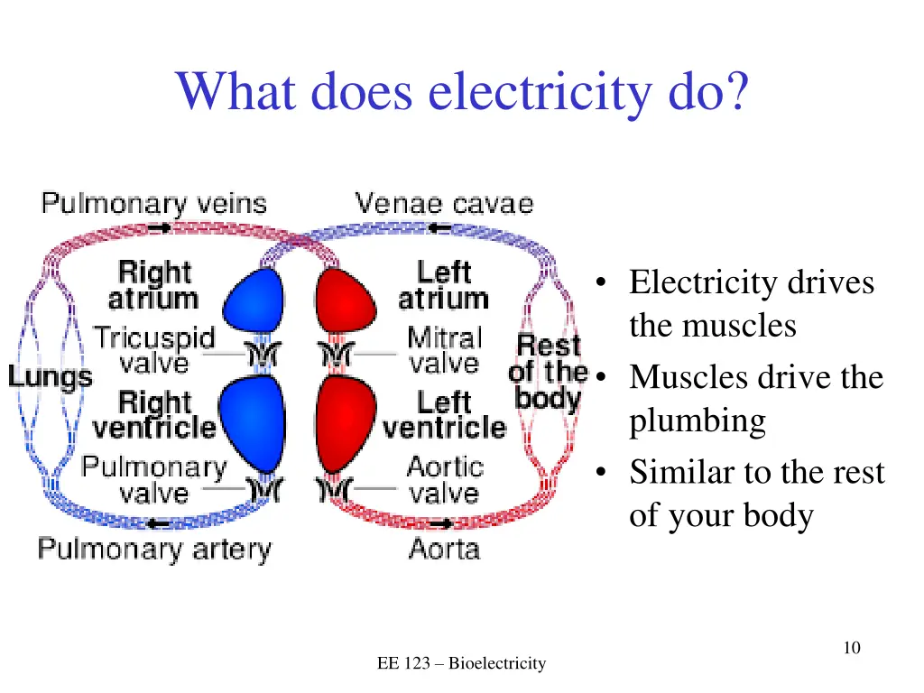 what does electricity do