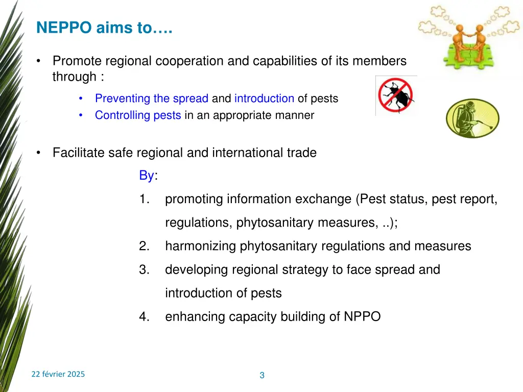 neppo aims to