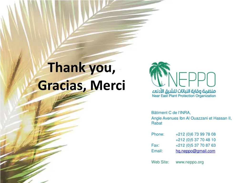 thank you gracias merci