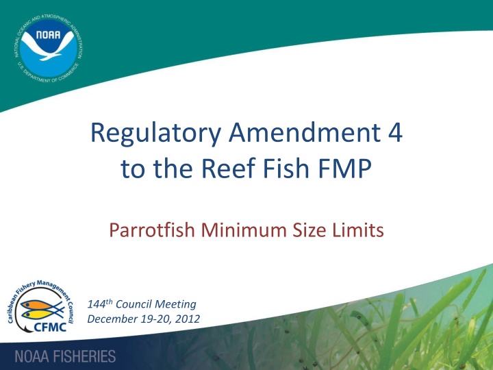 regulatory amendment 4 to the reef fish fmp
