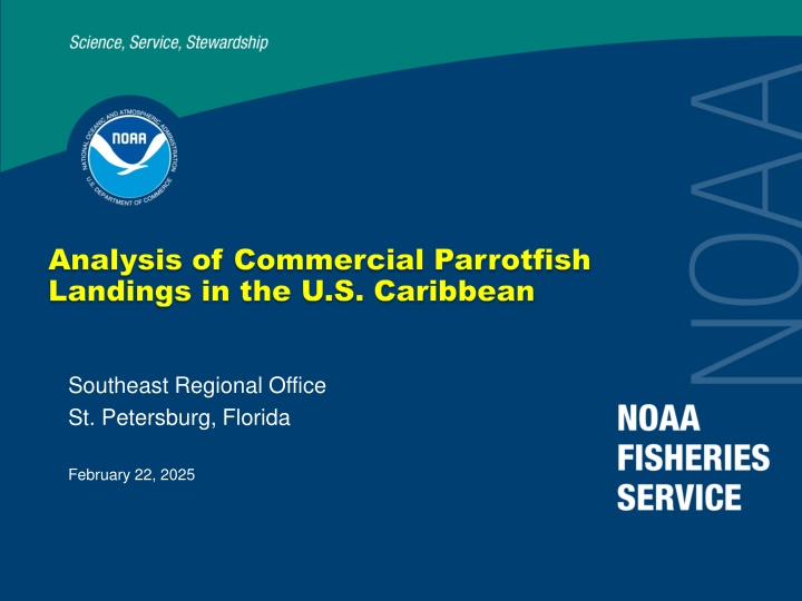 analysis of analysis of commercial parrotfish