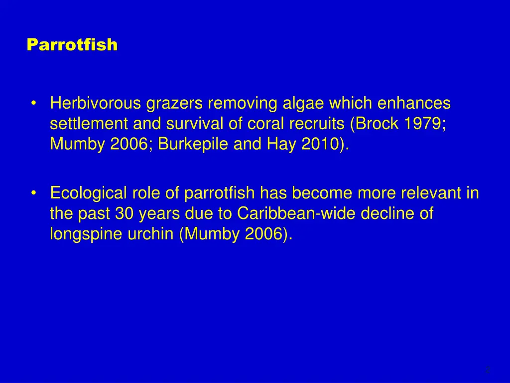 parrotfish