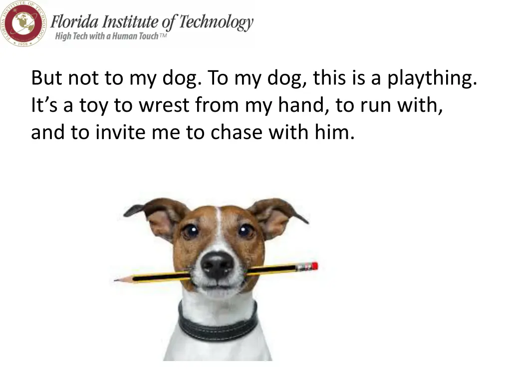 but not to my dog to my dog this is a plaything