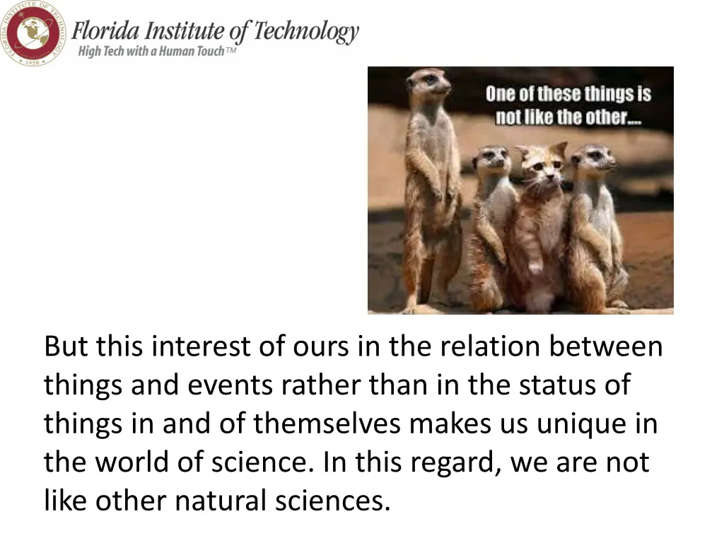 but this interest of ours in the relation between