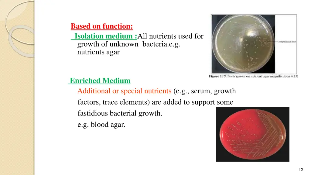 based on function isolation medium all nutrients