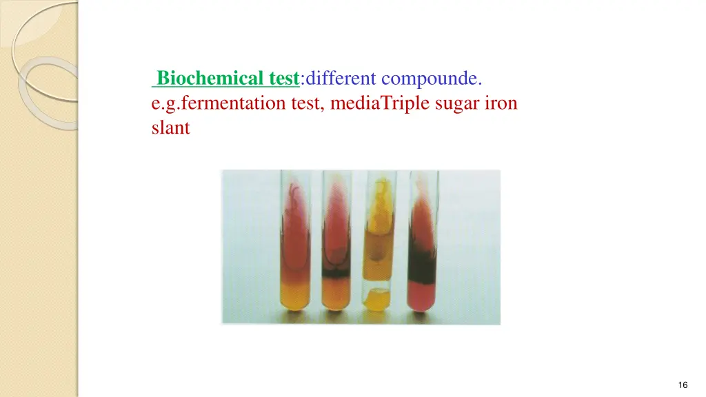 biochemical test different compounde