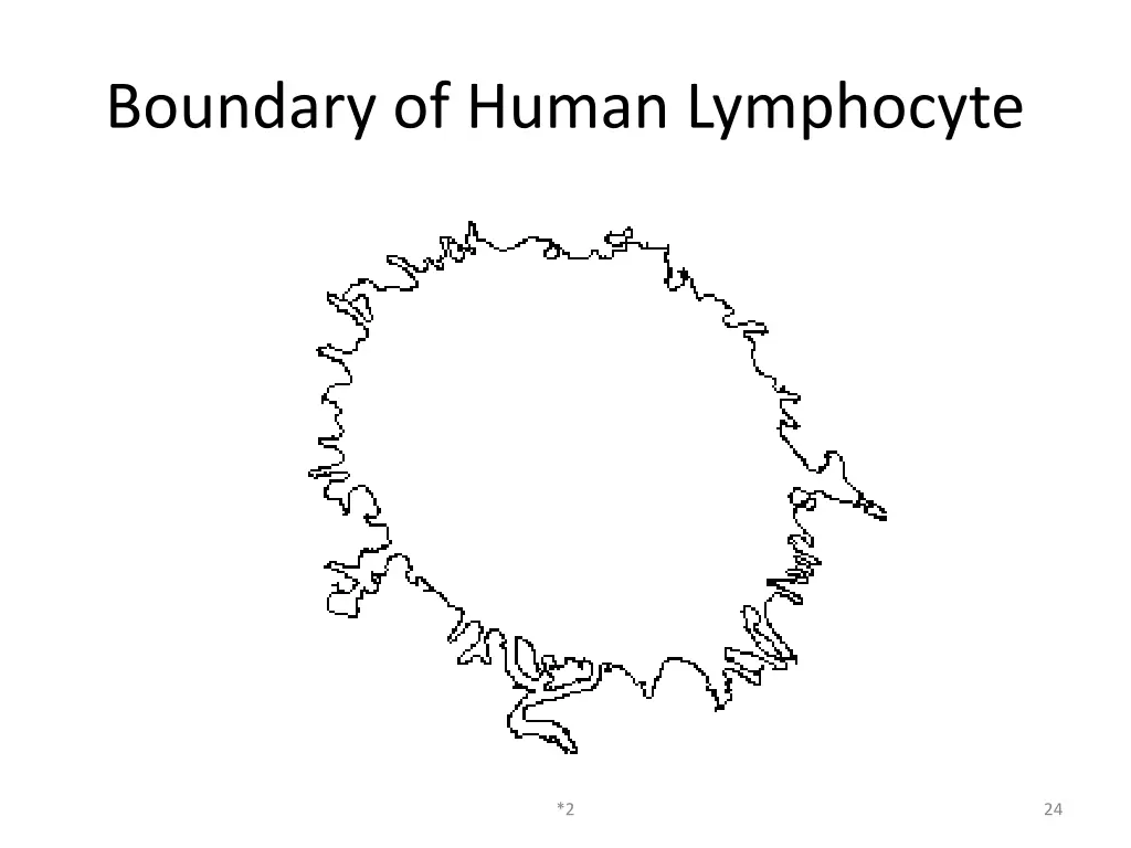 boundary of human lymphocyte