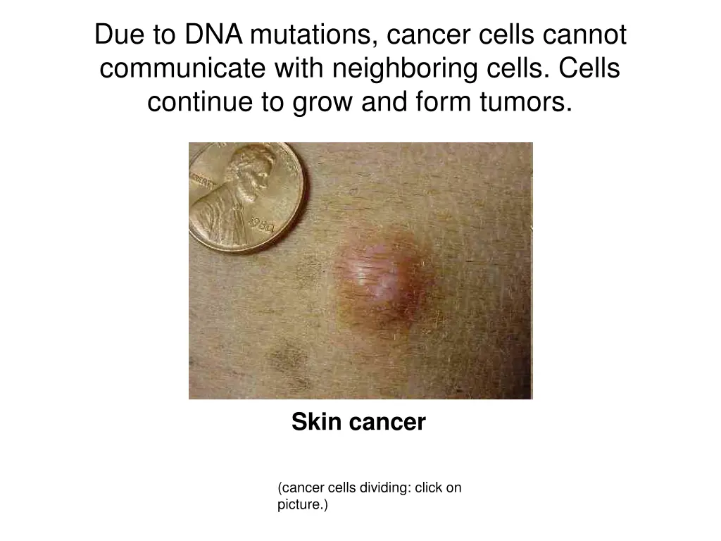 due to dna mutations cancer cells cannot