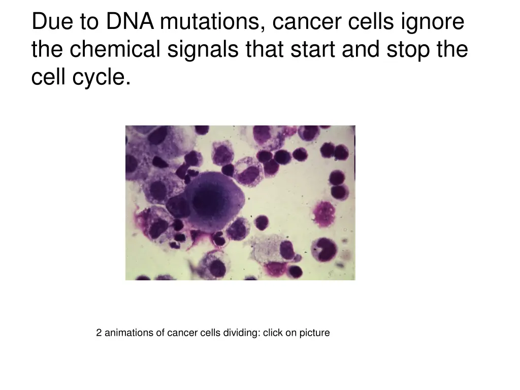 due to dna mutations cancer cells ignore