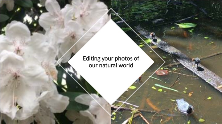 editing your photos of editing your photos