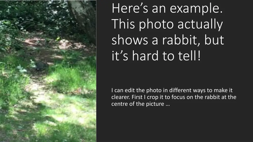 here s an example this photo actually shows