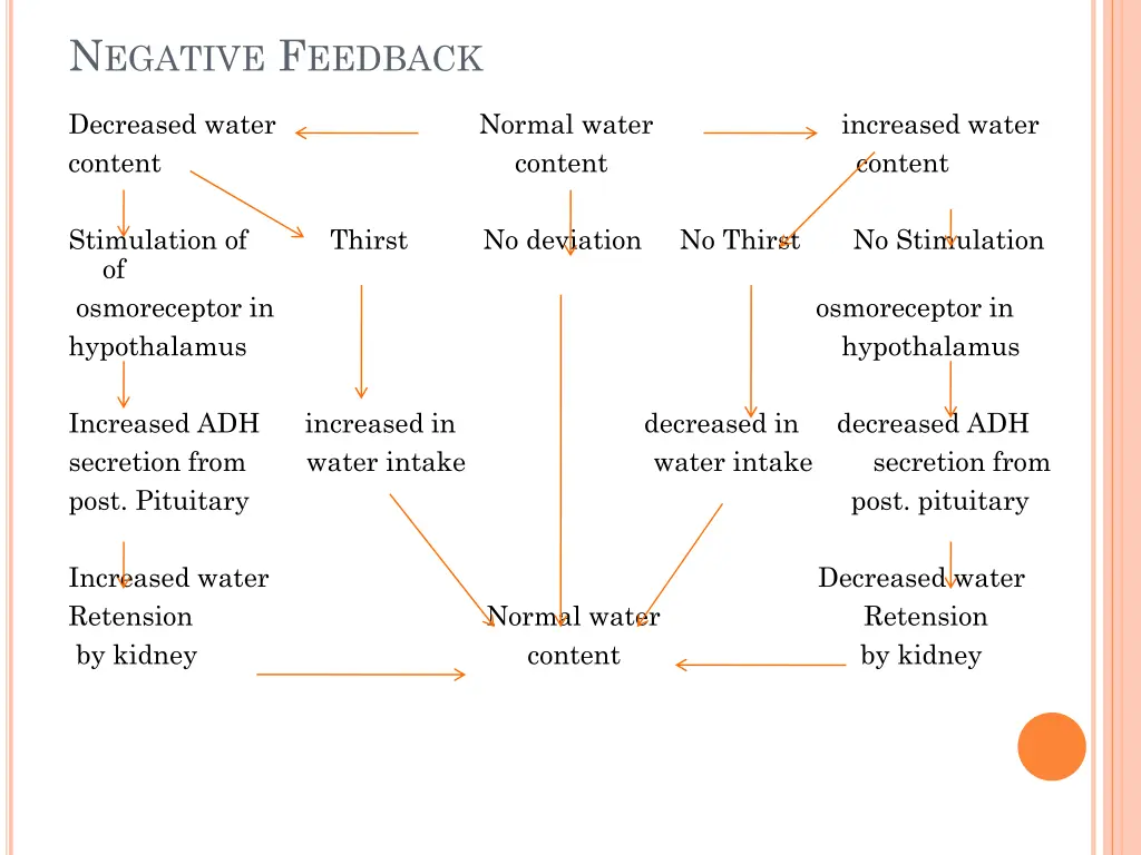 n egative f eedback 1