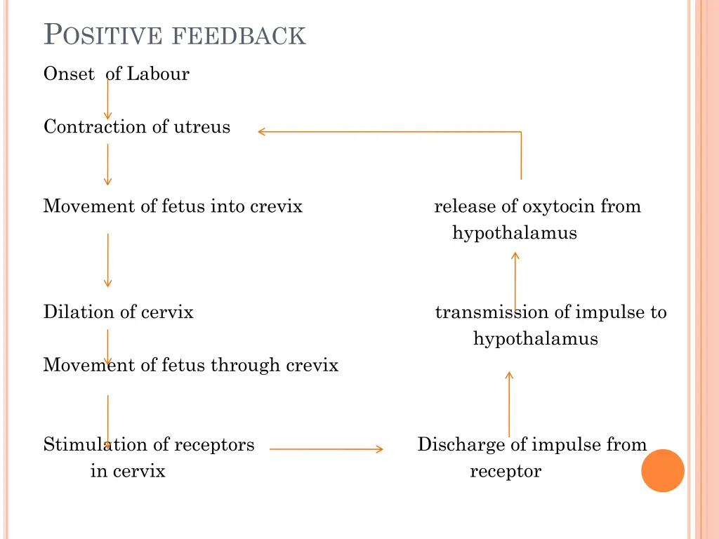 p ositive feedback 1