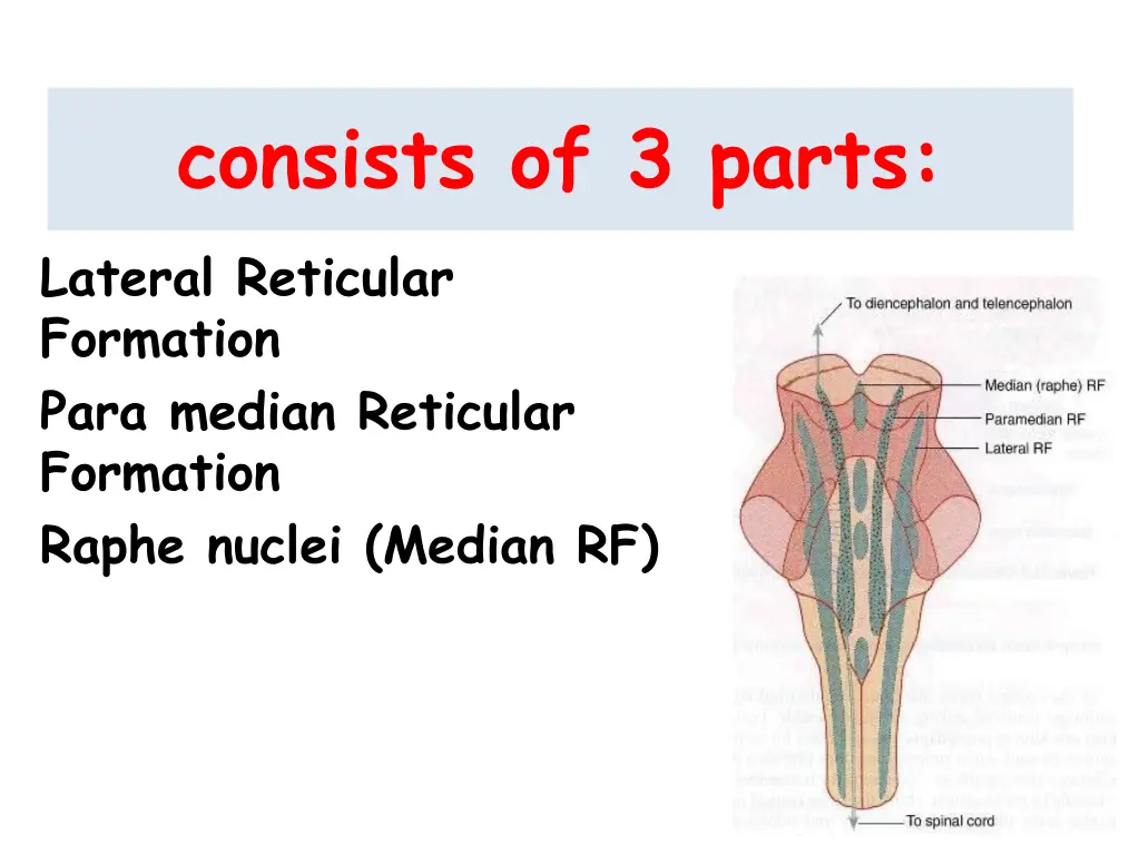 consists of 3 parts